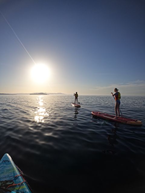 Chania: Stand-up Paddleboard Coastal Sunset Experience - Key points to know before you book