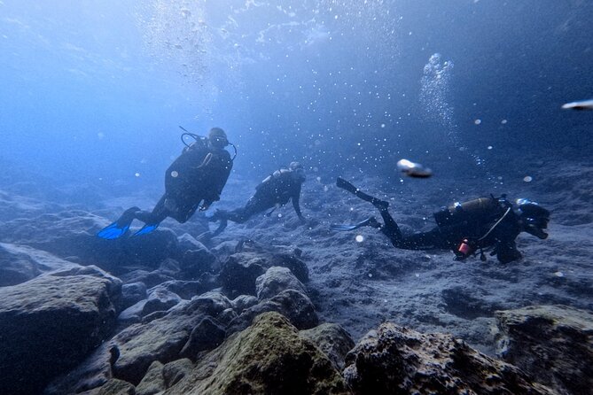 Chania | Try Scuba Diving | Introduction Dive - Key points about the Almyrida experience