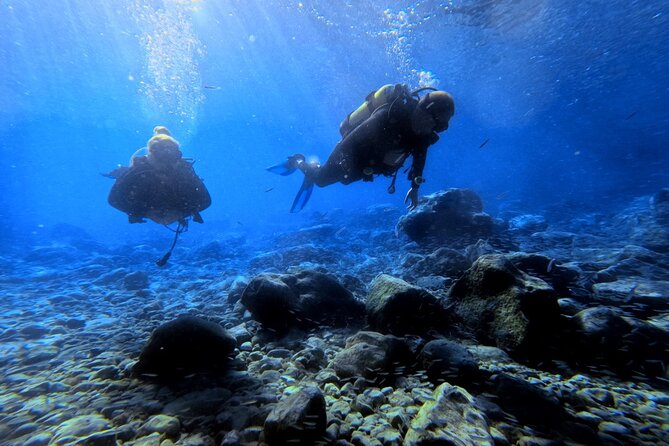 Chania | Try Scuba Diving | Introduction Dive - Is $113.18 a fair price?