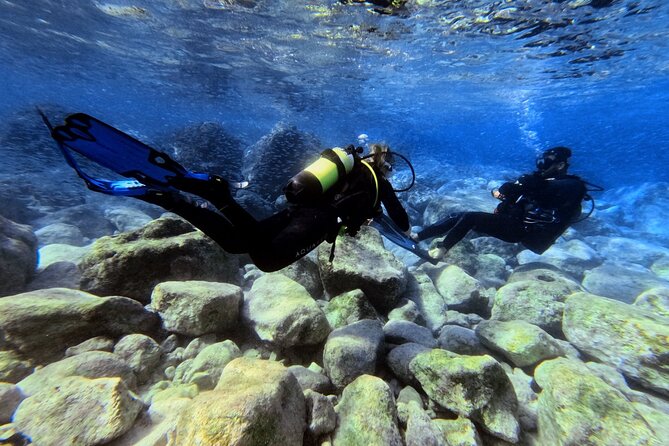 Chania | Try Scuba Diving | Introduction Dive - The marine life you may see below the surface