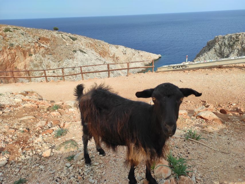 Chania Villages Private Tour: Explore the Authentic Crete! - From green valleys to dry mountain country