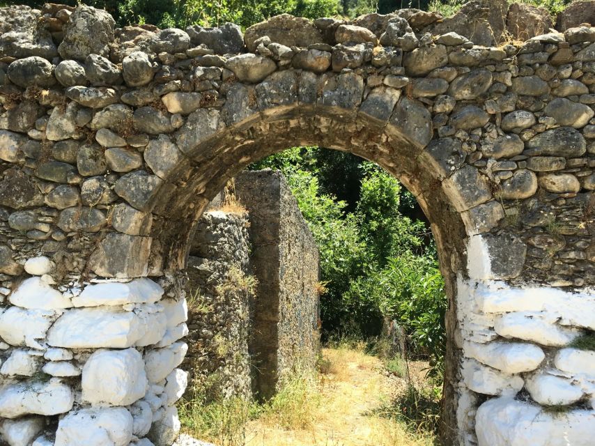 Chania Villages Private Tour: Explore the Authentic Crete! - Ancient olive trees and villages beyond the tourist route