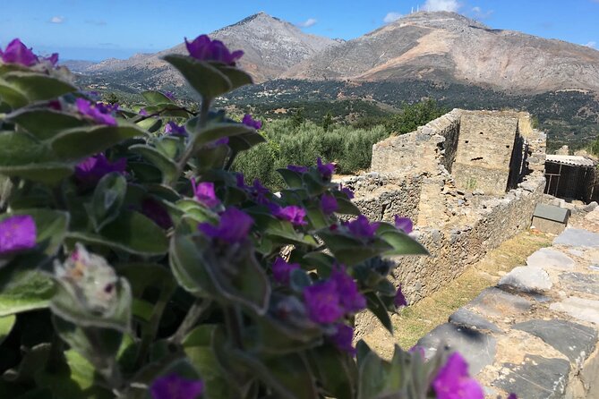 Chania White Mountains Private Tour: From Sea to Summit - Key points before you book