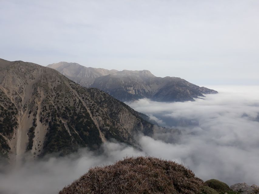 Chania: White Mountains Safari Tour with Lunch and Tastings - Ano Vouves and Crete’s ancient olive tradition