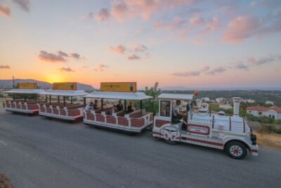 Mini-Train City Highlights Tour