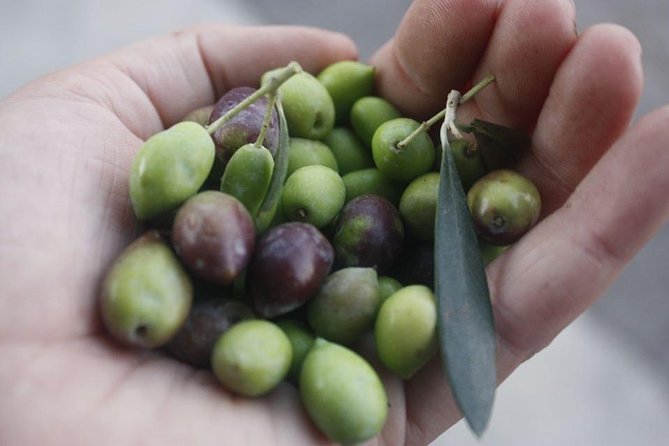 Cook with Locals | Cretan cooking Class at Archanes Village - A lesson built around stories and cooking tricks