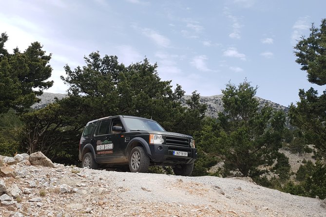 Cretan Safari – 4x4 Adventure to Preveli Beach with Lunch - Preveli Beach and its palm-lined river