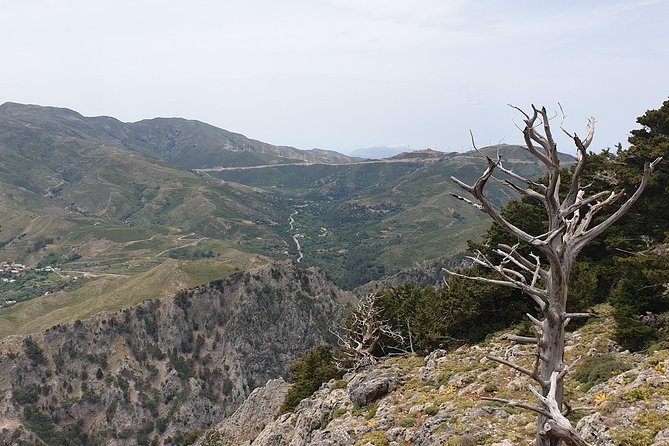 Cretan Safari – 4x4 Adventure to Preveli Beach with Lunch - Spili and the famous lion-head fountain