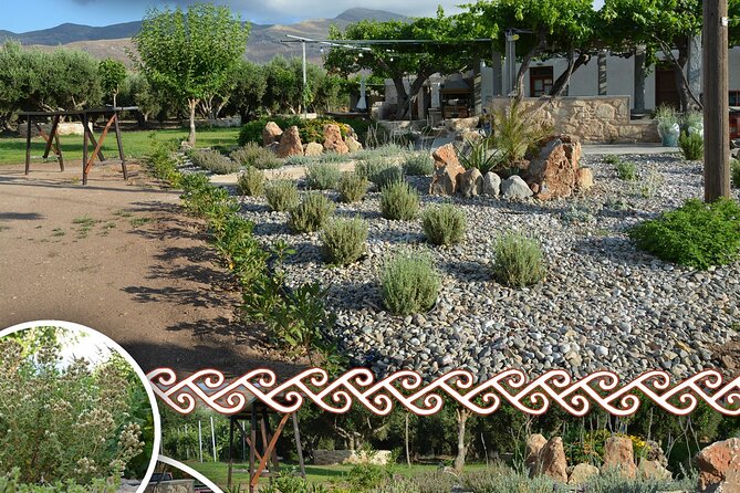 Cretan Traditional Cooking Lessons - Who will enjoy this farmhouse cooking class