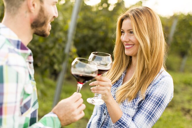 Cretan Wines & Olive oil tour - The treasures of Crete - Why this tour gives you more than a wine tasting