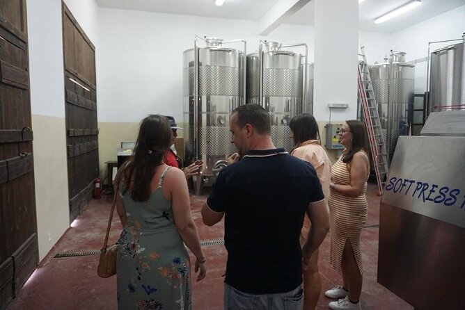 Cretan Wines & Olive oil tour - The treasures of Crete - What the $145.18 price really covers