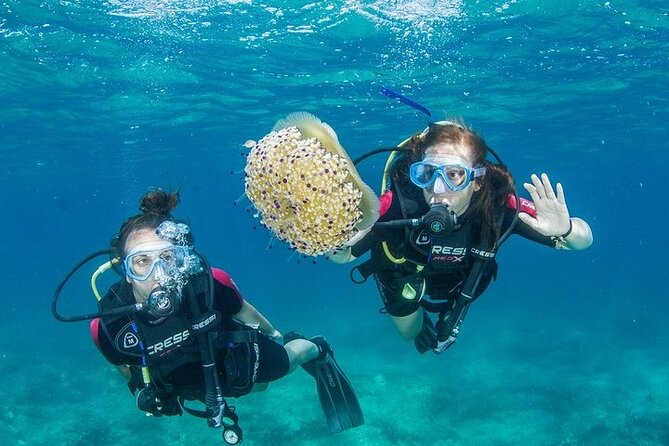 Crete-Chania: Snorkeling & Scuba Dive for Beginners by Boat - Key points to know before booking