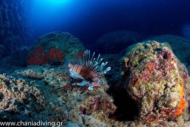 Crete-Chania: Snorkeling & Scuba Dive for Beginners by Boat - Weather, cancellation, and the best time to book