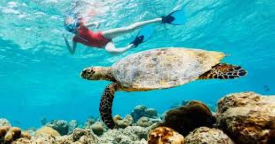 Crete: Coastline Snorkeling Cruise from Hersonissos Port - Booking flexibility and weather concerns