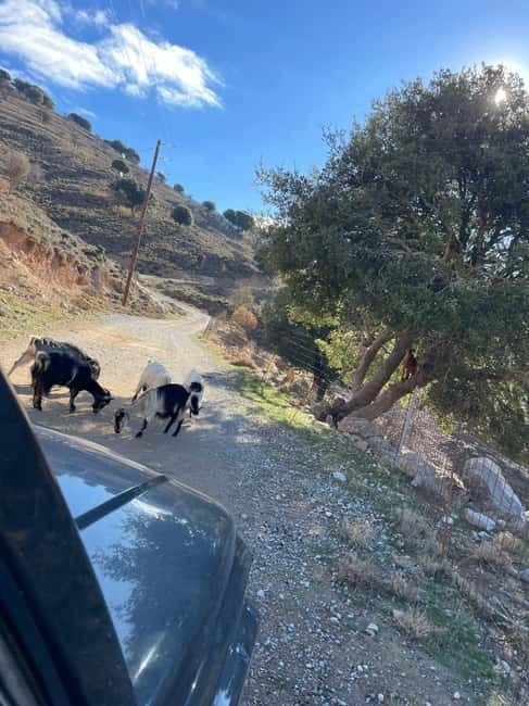 Crete: Explore Lassithi Plateau, Myths & Cretan Cuisine - A mountain taverna lunch with local drinks