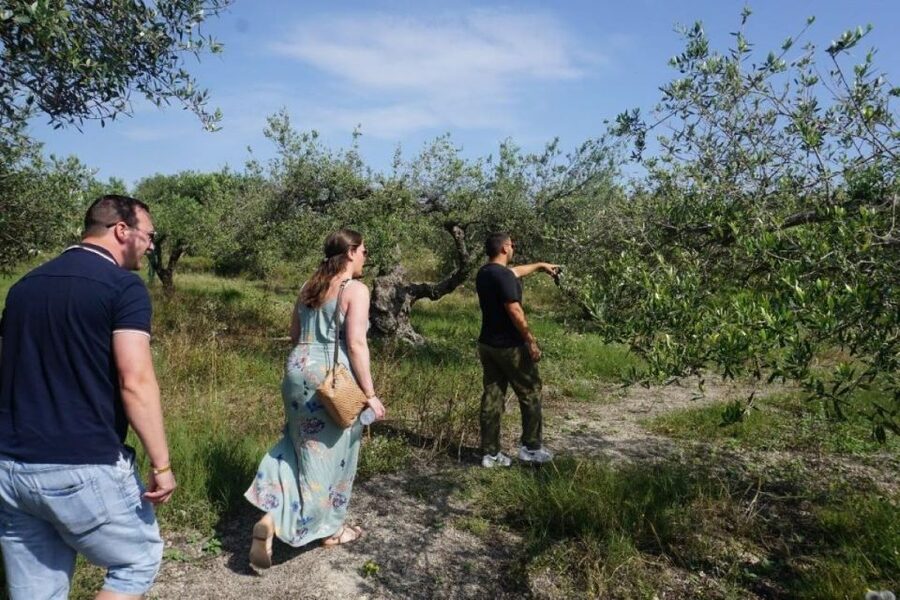 Crete: Full-Day Cretan Wines, Olive Oil, Raki and Food Tour - Who should book this day