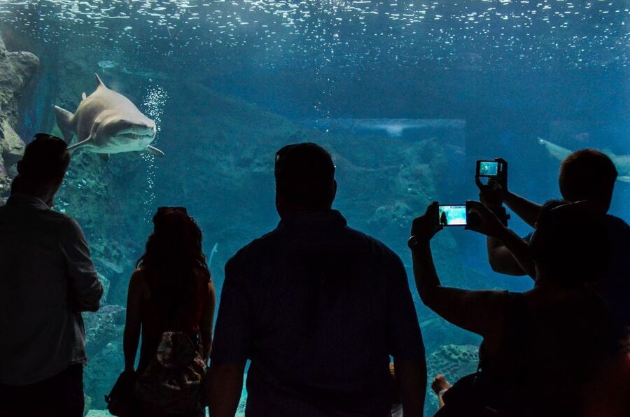 Crete: Heraklion Center, Local Market and Creta Aquarium - Who will get the most from this tour
