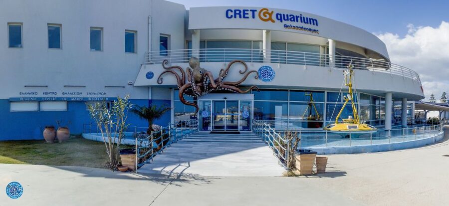 Crete: Heraklion Center, Local Market and Creta Aquarium - What this Crete day trip really includes