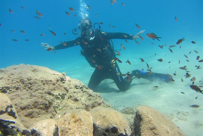 Crete Introductory Scuba Diving Experience - Key points at a glance