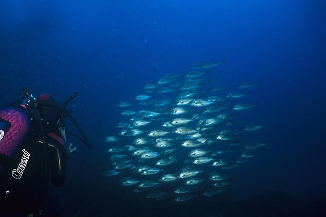 Crete Introductory Scuba Diving Experience - Why the instructor matters so much