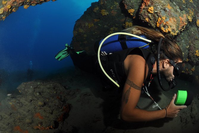 Crete Introductory Scuba Diving Experience - What makes the $96.13 price reasonable