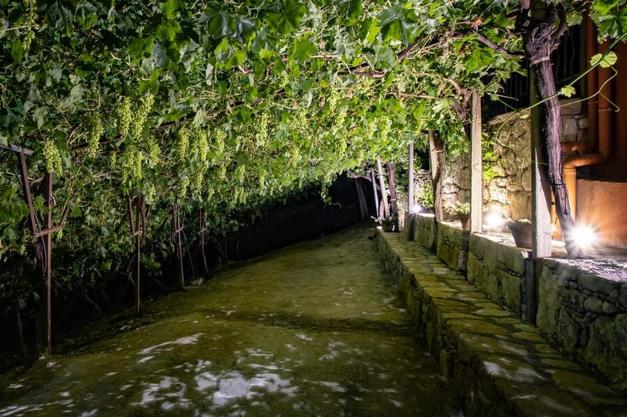 Crete: Jeep Safari Wine & Olive Oil testing Shepherd's House - Who should book this Crete jeep safari?
