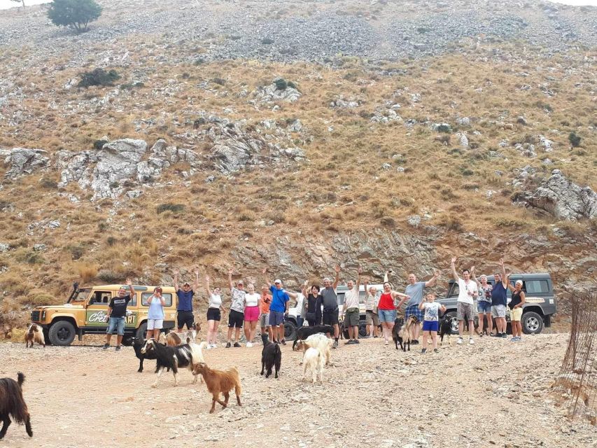 Crete: Jeep Safari Wine & Olive Oil testing Shepherd's House - Mountain paths, herbs, and goats