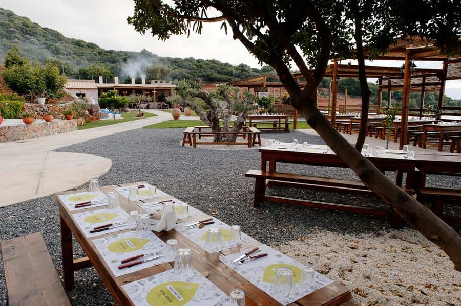 Crete: Knossos, Lasithi, Lasinthos and Olive Farm Combo Tour - Knossos Palace after a full day on the road