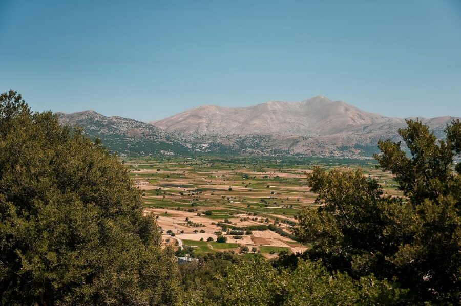 Crete: Knossos Palace and Lassithi Plateau Day Tour - Who should book this tour?