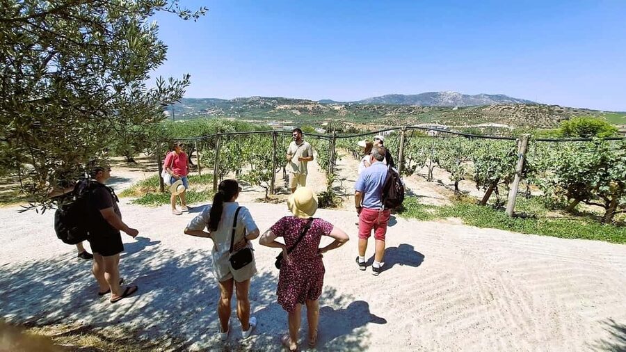Crete: Knossos Palace, Winery & Olive Oil Tour with Lunch - From palace stones to Vilana and Kotsifali
