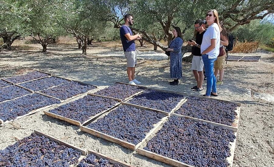 Crete: Knossos Palace, Winery & Olive Oil Tour with Lunch - Transport, comfort, and the practical tradeoffs