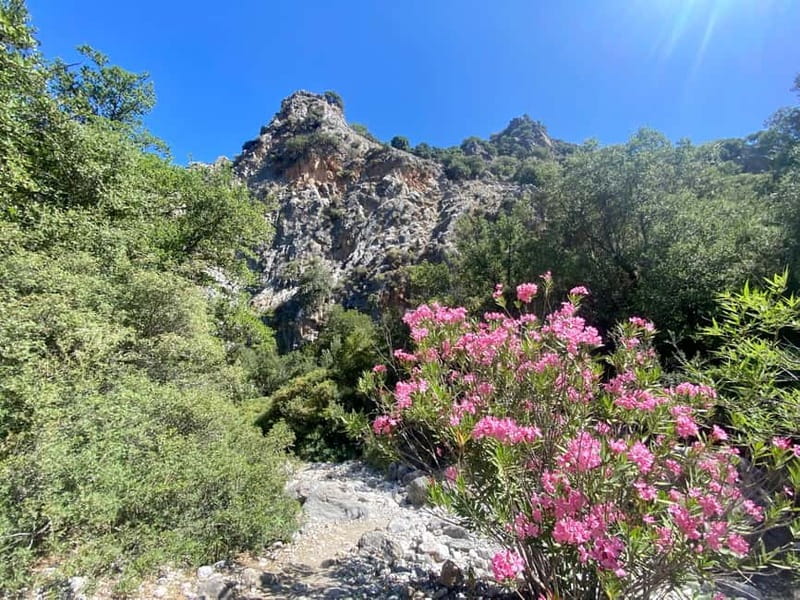 Crete: Kritsa Canyon Guided Hiking Tour - The ride from your hotel to the trail