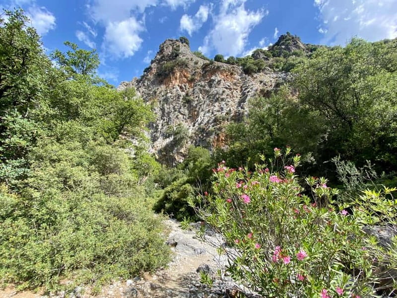 Crete: Kritsa Canyon Guided Hiking Tour - What to bring for a comfortable walk