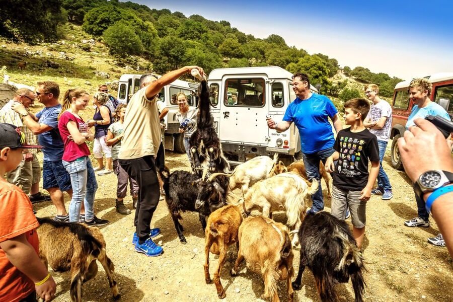 Crete: Land Rover Safari on Minoan Route - Key points to know before booking