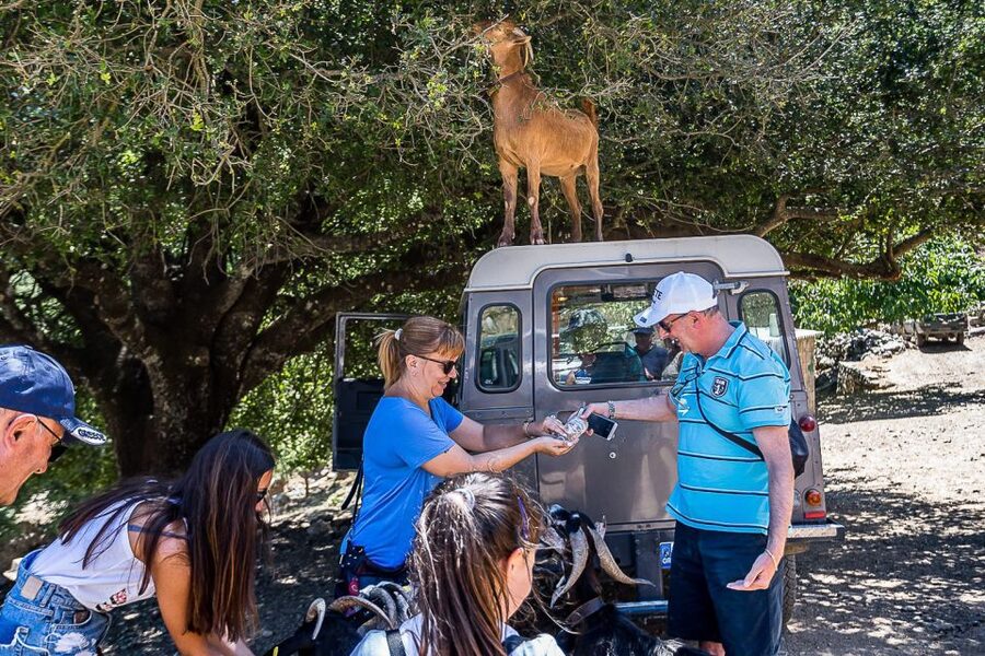 Crete: Land Rover Safari on Minoan Route - Small groups, guides, and the feel of the day