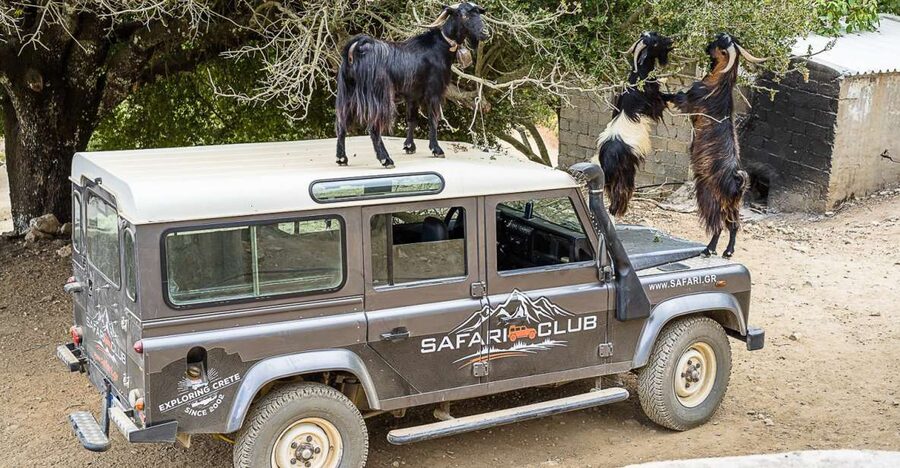 Crete: Land Rover Safari on Minoan Route - Why this Crete safari reaches places buses cannot