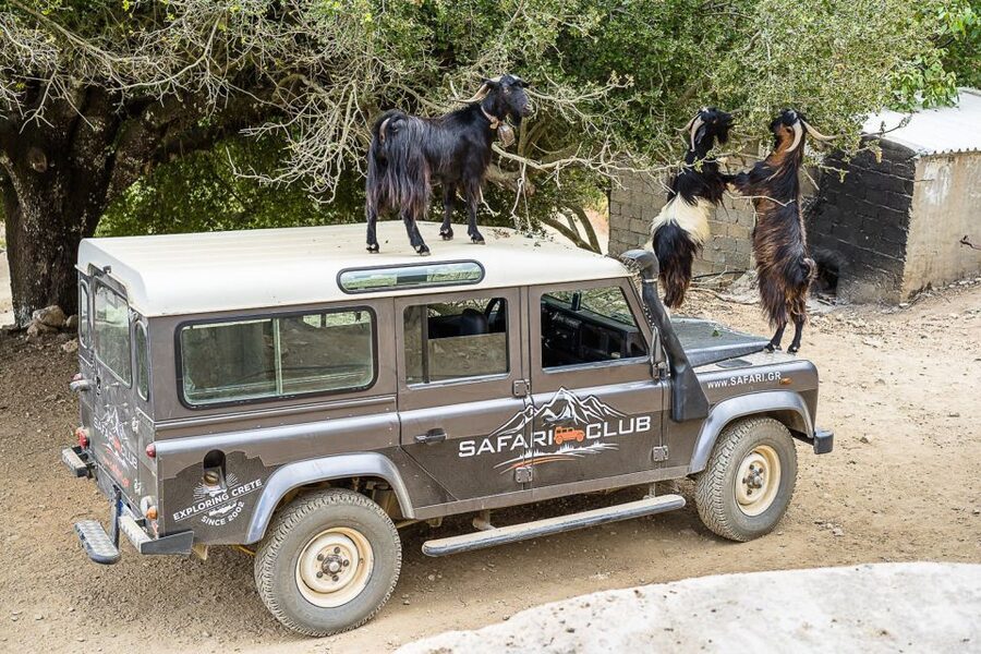 Crete: Land Rover Safari on Minoan Route - Bumpy tracks on Crete’s old Minoan route