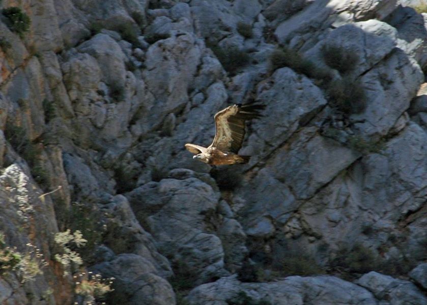 Crete: Land Rover Safari Through Katharo Plateau - The Lassithi Plateau and its old farming rhythm