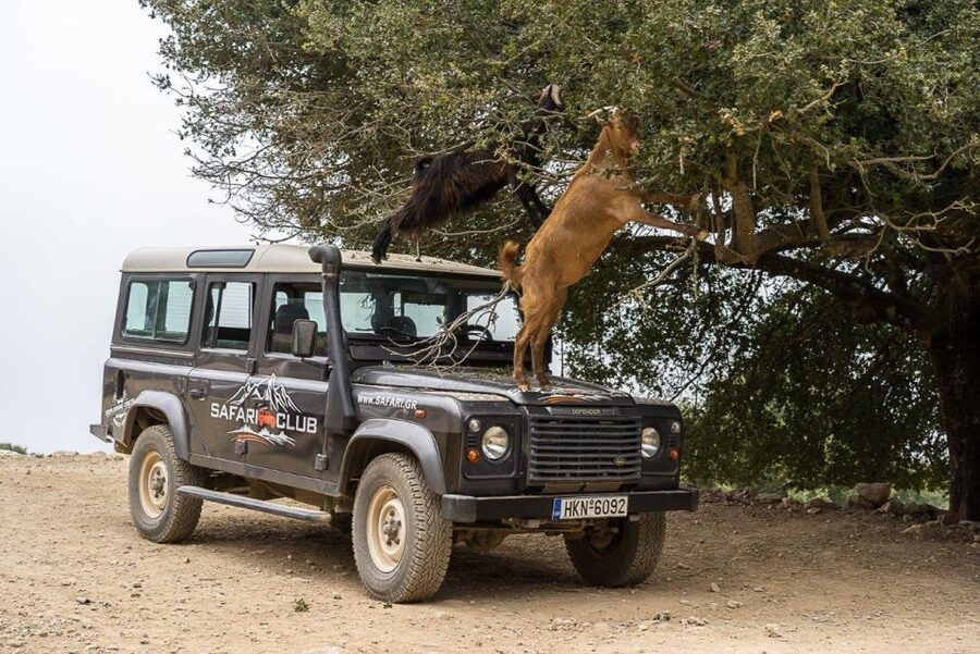 Crete: Land Rover Safari Through the Plateaus - What the $113 price really covers