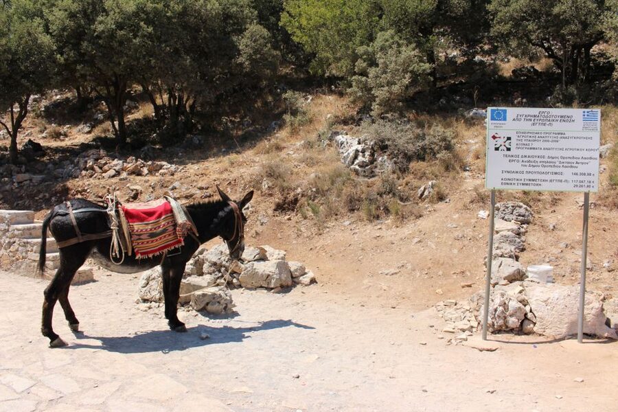 Crete: Land Rover Safari Through the Plateaus - Kastamonitsa and a Cretan breakfast