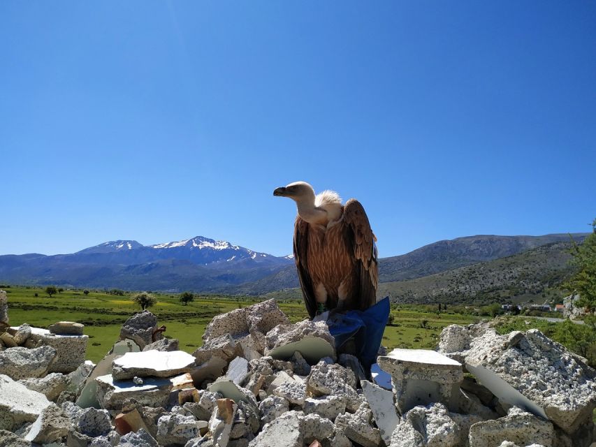 Crete: Lasithi Plateau and Cave of Zeus Off-Road Safari Tour - Seli Ambelou windmills and the high road