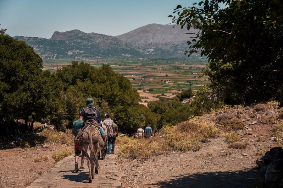 Crete: Lasithi Plateau & Knossos Palace Tour - Who should book this Crete day trip?