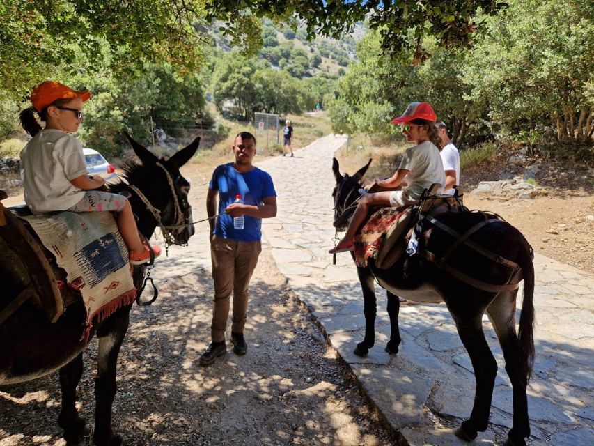 Crete: Lasithi Plateau Zeus Cave Guided Jeep Safari Tour - Guides, Vehicles, and the Feel of the Day