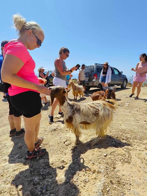 Crete: Lasithi Plateau Zeus Cave Guided Jeep Safari Tour - Avdou, Olive Oil, and the Taste of Crete