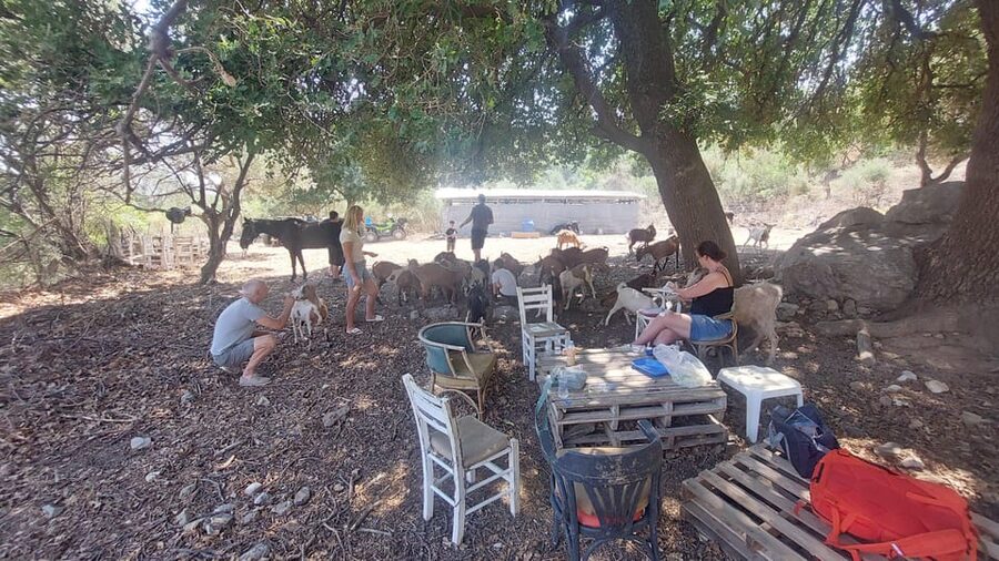 CRETE :MALIA HERSSONISOS QUADS ECOTOUR ADVENTURE - HIGH PERF - Is $100 good value for six hours?