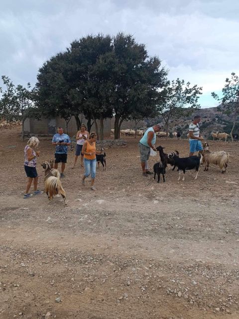 Crete: Milatos Cave Amazonas Zoo Park Jeep Safari Tour - Is $104 a fair price?