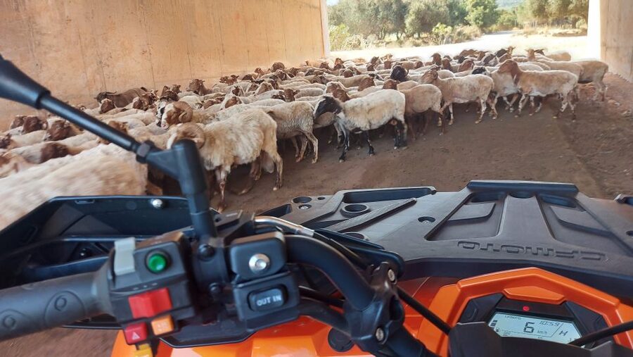 Crete: Off-Road Quad Safari with Lunch/Dinner - What to wear and what to pack