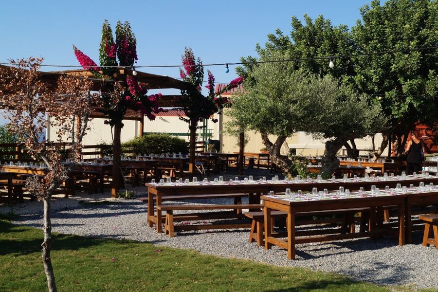 Crete: Olive Oil Factory Tour, Dinner & Traditional Dancing - Dinner, wine, and the buffet experience