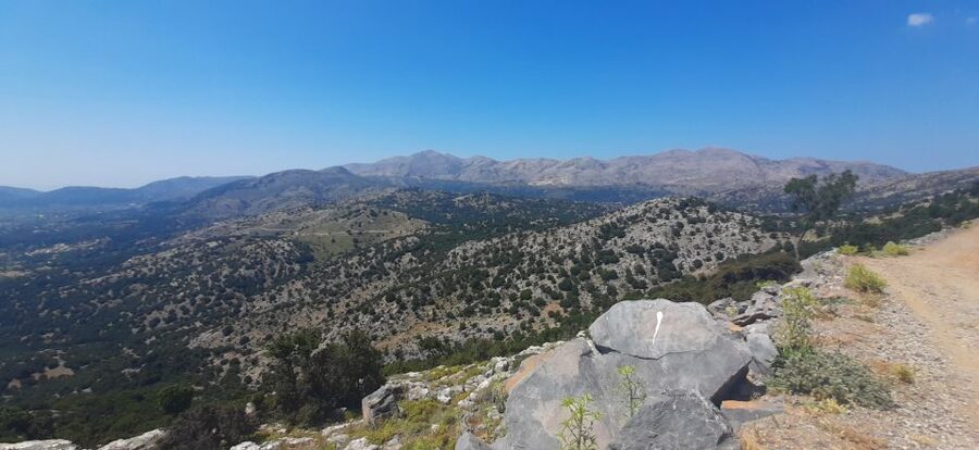 Crete: Olive, Wine, & Raki on a Flavorful Culinary Journey - Timing, comfort, and what to bring