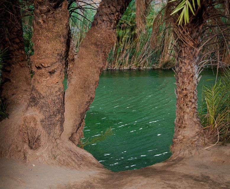 Crete: Preveli Tropical Beach and Palm Forest - Why Preveli is worth the long ride
